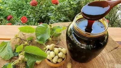 Tut doşabı — Emal Olunmuş K/t Məhsulları, Şəki