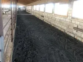 Ferma satılır — Kənd Təsərrüfatı Əmlakı, İmişli — şəkil 3