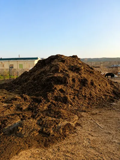 Peyin — Gübrələr, Pestisidlər və Dərmanlar, Bakı