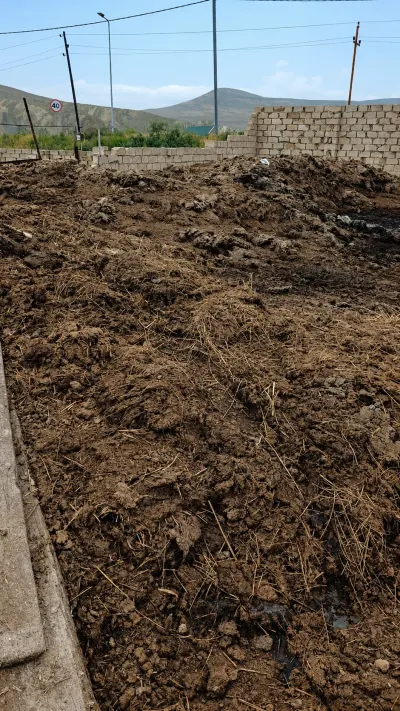 Peyin — Gübrələr, Pestisidlər və Dərmanlar, Bakı