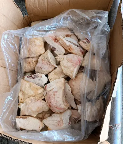 Quyruq — Heyvanlar, Quşlar, Balıqlar, Bakı