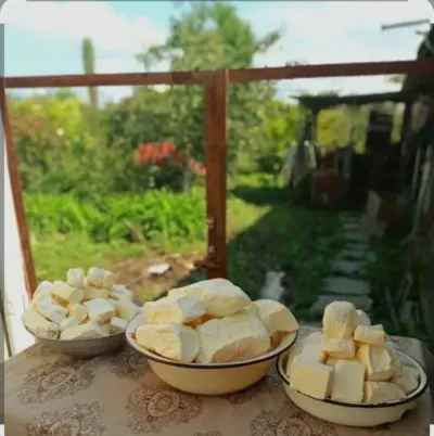 Şor — Emal Olunmuş K/t Məhsulları, Sabirabad — şəkil 2