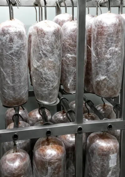 Dönər toyuq əti — Heyvanlar, Quşlar, Balıqlar, Bakı