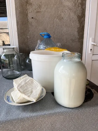SÜD MƏHSULLARI — Emal Olunmuş K/t Məhsulları, Oğuz