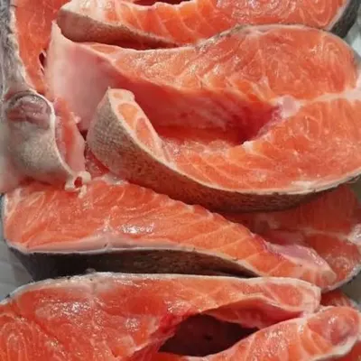 Forel — Heyvanlar, Quşlar, Balıqlar, Bakı