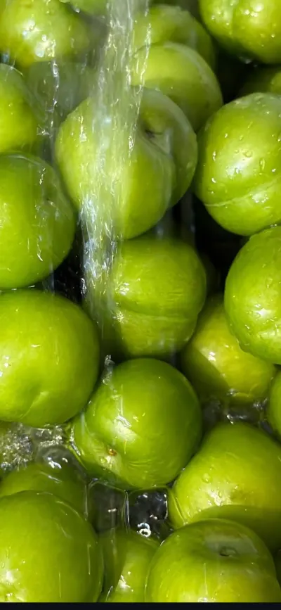 Alça — Meyvə və Giləmeyvə, Göyçay