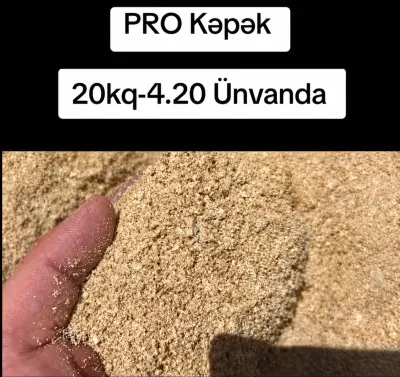 Kəpək — Dənlilər, Otlar Yemlər,  Bitkilər, Bakı