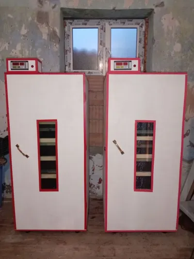 INKUBATOR — K/T texnikası və ehtiyyat hissə, Salyan
