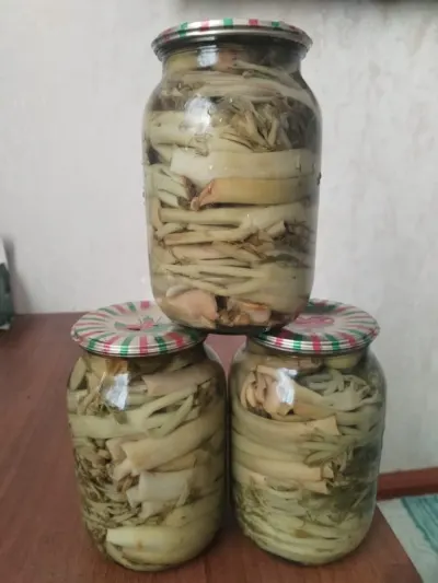 Çaşır turşusu — Emal Olunmuş K/t Məhsulları, Bakı