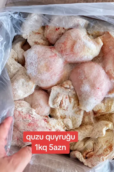 Quyruq — Heyvanlar, Quşlar, Balıqlar, Bakı