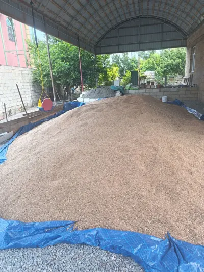 BUĞDA — Dənlilər, Otlar Yemlər,  Bitkilər, Bərdə