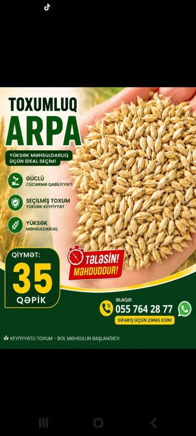 ARPA — Dənlilər, Otlar Yemlər,  Bitkilər, Bakı
