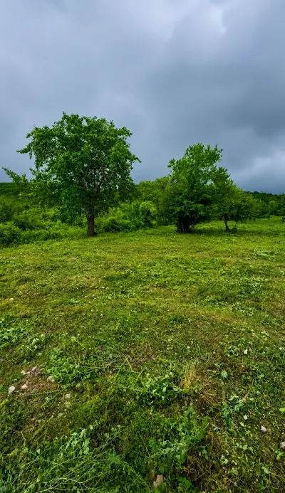 TORPAQ SAHƏSİ — Kənd Təsərrüfatı Əmlakı, İsmayıllı