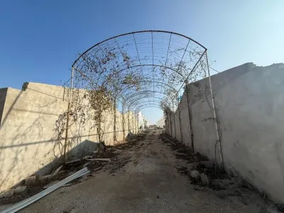 İstixana kompleksi — Agricultural Property, Baku — şəkil 6