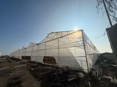 İstixana kompleksi — Agricultural Property, Baku — şəkil 10