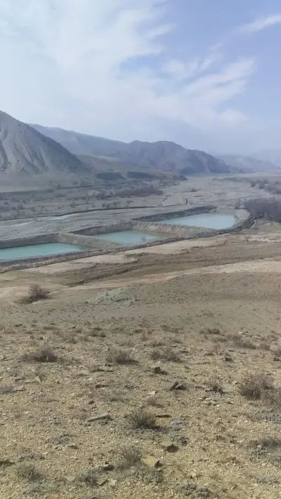 BALIQÇILIQ TƏSƏRRÜFATI — Kənd Təsərrüfatı Əmlakı, Şamaxı
