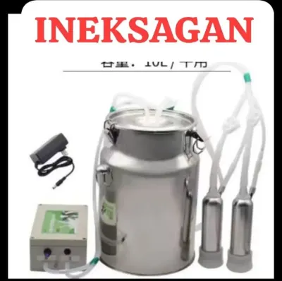 Süd sağan — K/T texnikası və ehtiyyat hissə, Bakı