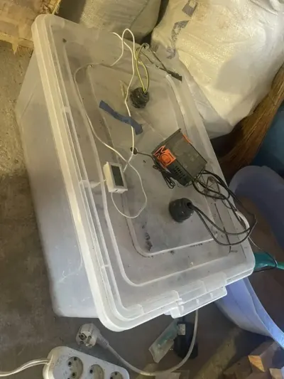 INKUBATOR — K/T texnikası və ehtiyyat hissə, Şəki