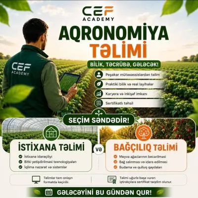 Təlim — Kənd/Təs Xidmətləri, Bakı