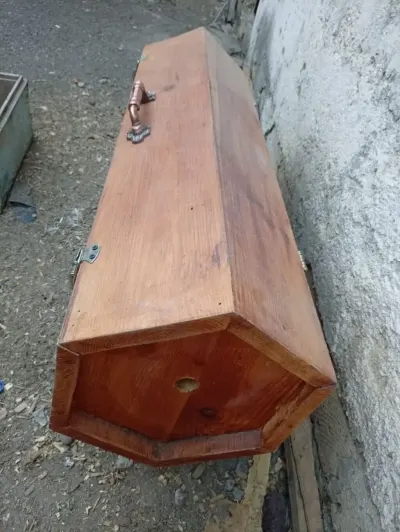 Arı ailəsi — Heyvanlar, Quşlar, Balıqlar, Bərdə — şəkil 2
