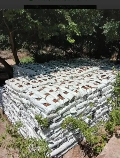 Kakabit — Gübrələr, Pestisidlər və Dərmanlar, Bakı — şəkil 2
