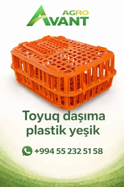 Plastik yeşik — Kənd Təsərrüfatı Ləvazimatı, Bakı