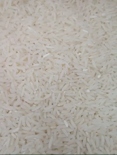 Düyü — Dənlilər, Otlar Yemlər,  Bitkilər, Bakı — şəkil 2