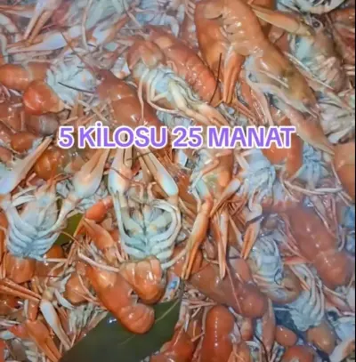 Xərçəng — Heyvanlar, Quşlar, Balıqlar, Bakı