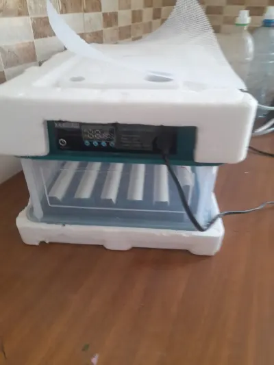 INKUBATOR — K/T texnikası və ehtiyyat hissə, Sumqayıt
