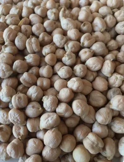 Chickpeas — Vegetables and Greens, Khirdalan