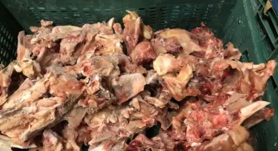 Yem — Dənlilər, Otlar Yemlər,  Bitkilər, Bakı