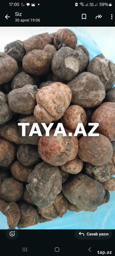 Dombalan — Tərəvəzlər və Göyərtilər, Bakı