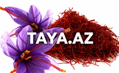 Zəfəran — Dənlilər, Otlar Yemlər,  Bitkilər, Bakı