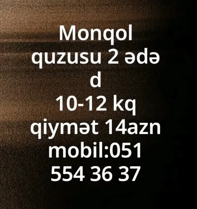 Quzu əti — Heyvanlar, Quşlar, Balıqlar, Bakı