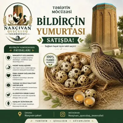 BiLDİRÇİN YUMURTASI — Heyvanlar, Quşlar, Balıqlar, Naxçıvan