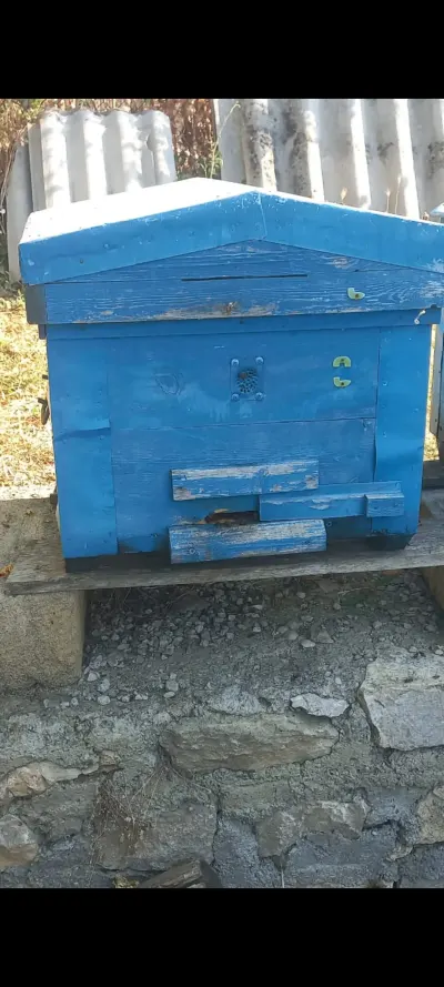 ARI — Heyvanlar, Quşlar, Balıqlar, Şabran