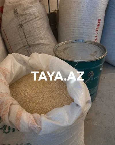 Yem — Dənlilər, Otlar Yemlər,  Bitkilər, Bakı