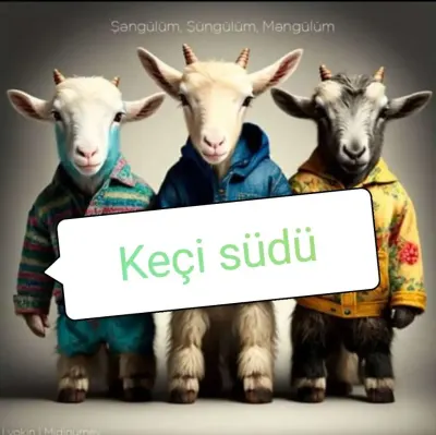 Süd — Emal Olunmuş K/t Məhsulları, Sumqayıt