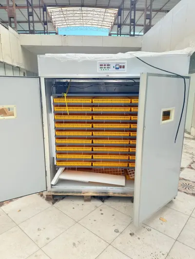 INKUBATOR — K/T texnikası və ehtiyyat hissə, Bakı