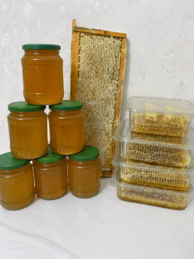 Arı pətəyi — Heyvanlar, Quşlar, Balıqlar, Bakı — şəkil 3
