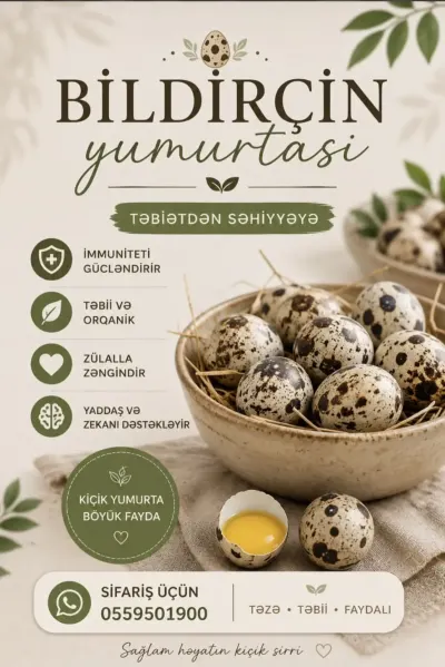 BiLDİRÇİN YUMURTASI — Heyvanlar, Quşlar, Balıqlar, Bakı