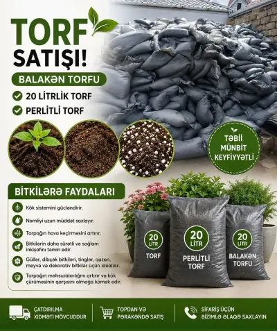 Torf — Dənlilər, Otlar Yemlər,  Bitkilər, Bakı