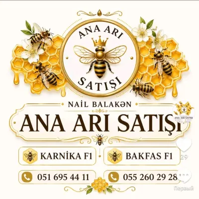 Ana arı — Heyvanlar, Quşlar, Balıqlar, Balakən