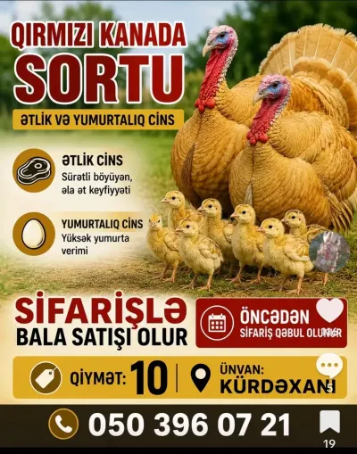 HiNDUŞKA — Heyvanlar, Quşlar, Balıqlar, Bakı