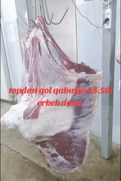 Ət — Heyvanlar, Quşlar, Balıqlar, Bakı — şəkil 2