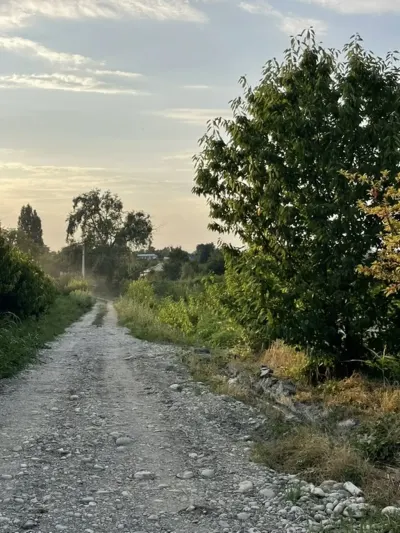 Meyvə bağı — Kənd Təsərrüfatı Əmlakı, Quba — şəkil 2