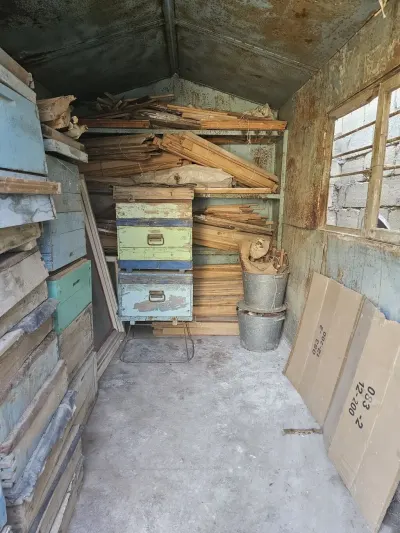 Arı yeşiyi — Heyvanlar, Quşlar, Balıqlar, Bakı