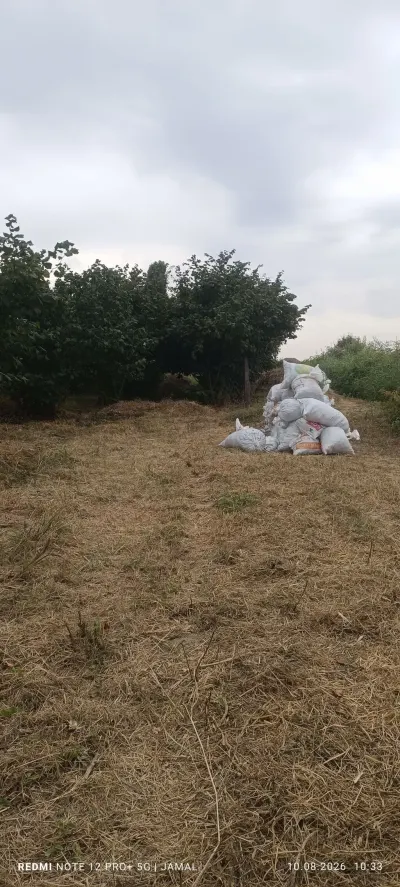 Bağ satılır — Kənd Təsərrüfatı Əmlakı, Xaçmaz — şəkil 4