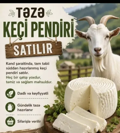 Özəl sahibkar elanı
