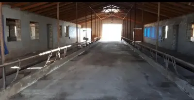 Ferma satılır — Kənd Təsərrüfatı Əmlakı, Şabran — şəkil 7